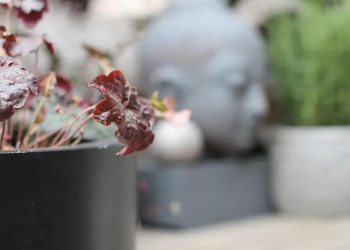 Exklusive Designferienwohnung The Backyard Tby 02