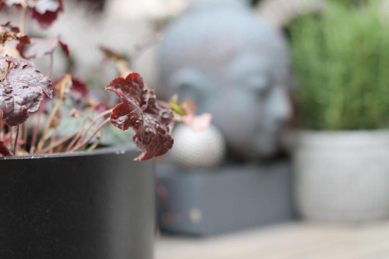 Exklusive Designferienwohnung The Backyard Tby 02 *